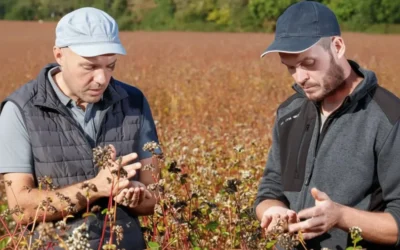 Pourquoi envisager une reconversion professionnelle en agriculture en Bretagne ?